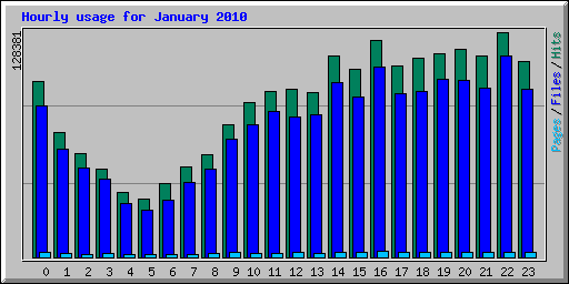 Hourly usage for January 2010